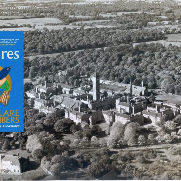 Shy Creatures and Warlingham Park Author Q&A