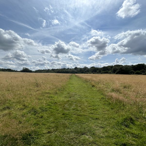 Bethlem History Walk